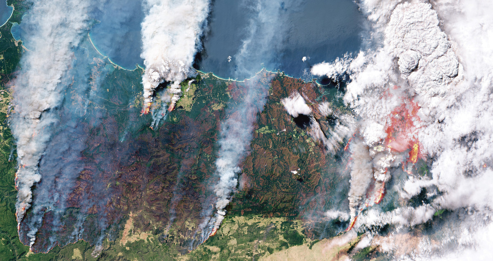 australian_bushfires_pp192-193