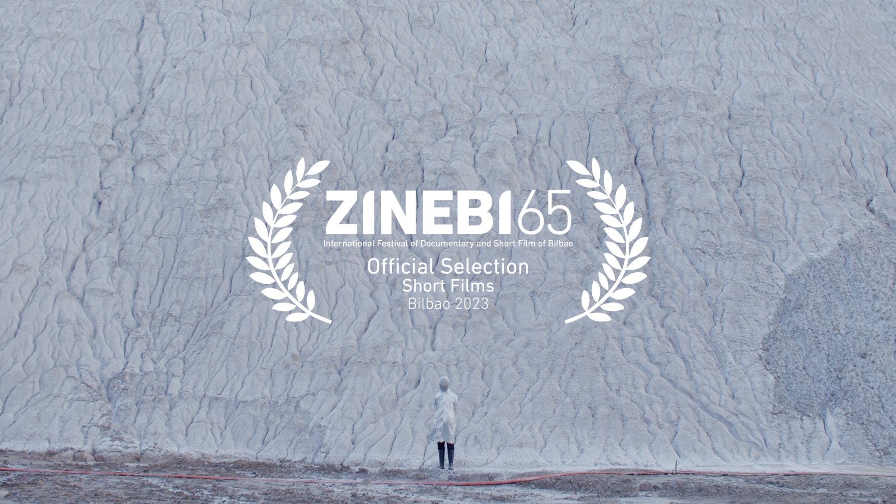 dzinebi-01